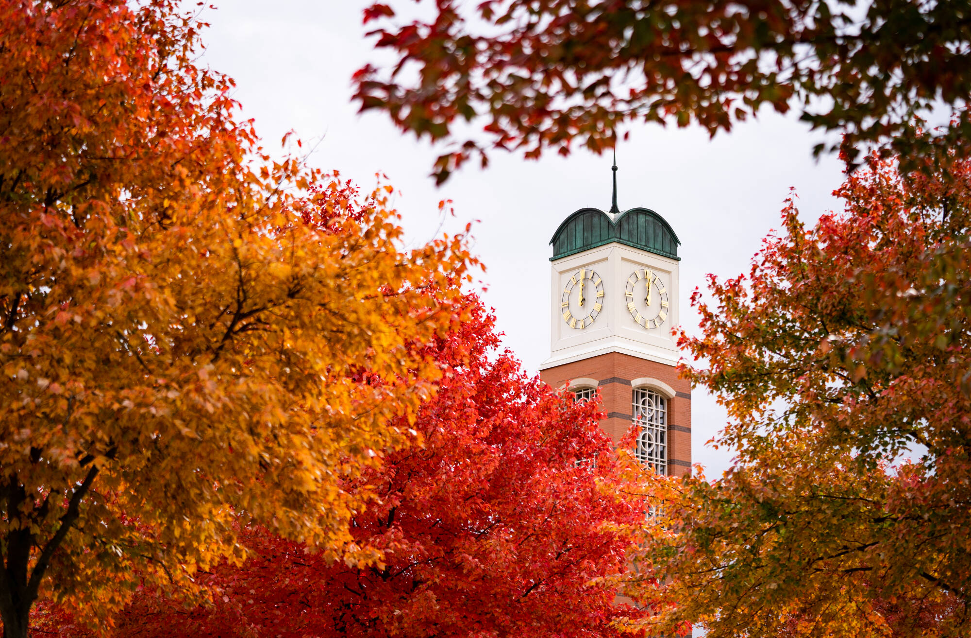 Fall scenery with the Allendale campus clocktower framed around it.